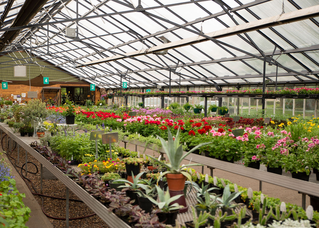 Greenhouse in Burlington, Iowa | Zaiser's Landscaping & Greenhouse